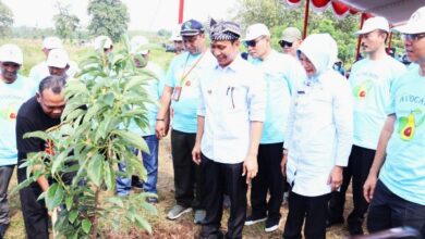 Bupati Bojonegoro Setyo Wahono: Gerakan Tanam Pohon Sistem Tumpangsari di Lahan Perhutani Guna Menjaga Lingkungan Tetap Lestari