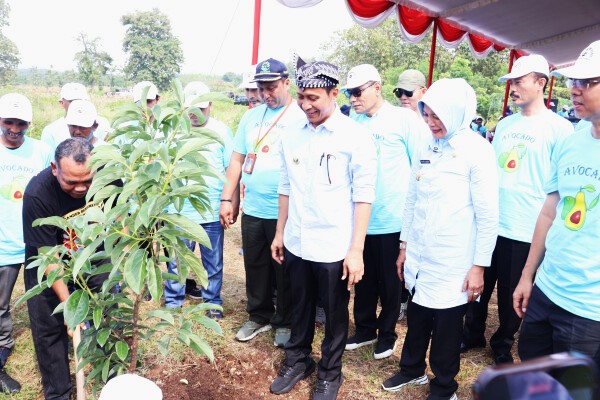 Bupati Bojonegoro Setyo Wahono: Gerakan Tanam Pohon Sistem Tumpangsari di Lahan Perhutani Guna Menjaga Lingkungan Tetap Lestari