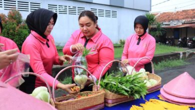 Dukung Ketahanan Pangan, Bhayangkari Bojonegoro Berhasil Panen Sayuran