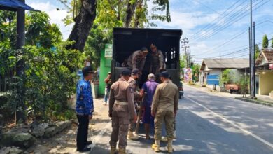 8 PMKS Berhasil Diamankan dan Digiring Ke Shelter Dinas Sosial Oleh Satpol PP Bojonegoro