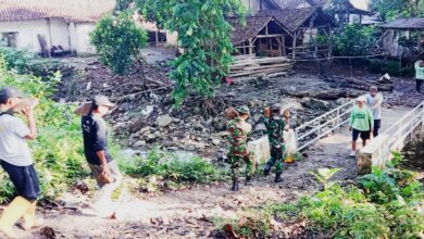 Babinsa Posramil 19/Gondang Kodim 0813 Bojonegoro, Bersama Warga Sambongrejo, Membangun Bronjong dan Jalan Makadam