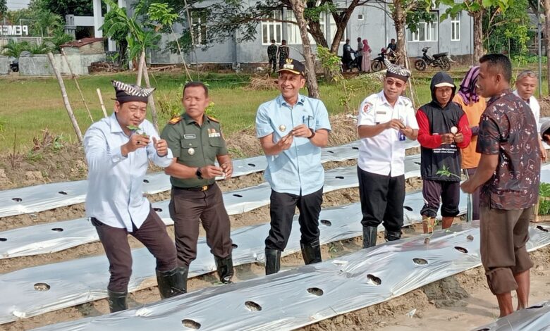 Bupati Medhayoh, Tanam Cabai Bersama Dan Kenduri Sedekah Bumi, Di Desa Ngujung, Temayang Bupati Medhayoh, Tanam Cabai Bersama Dan Kenduri Sedekah Bumi, Di Desa Ngujung, Temayang