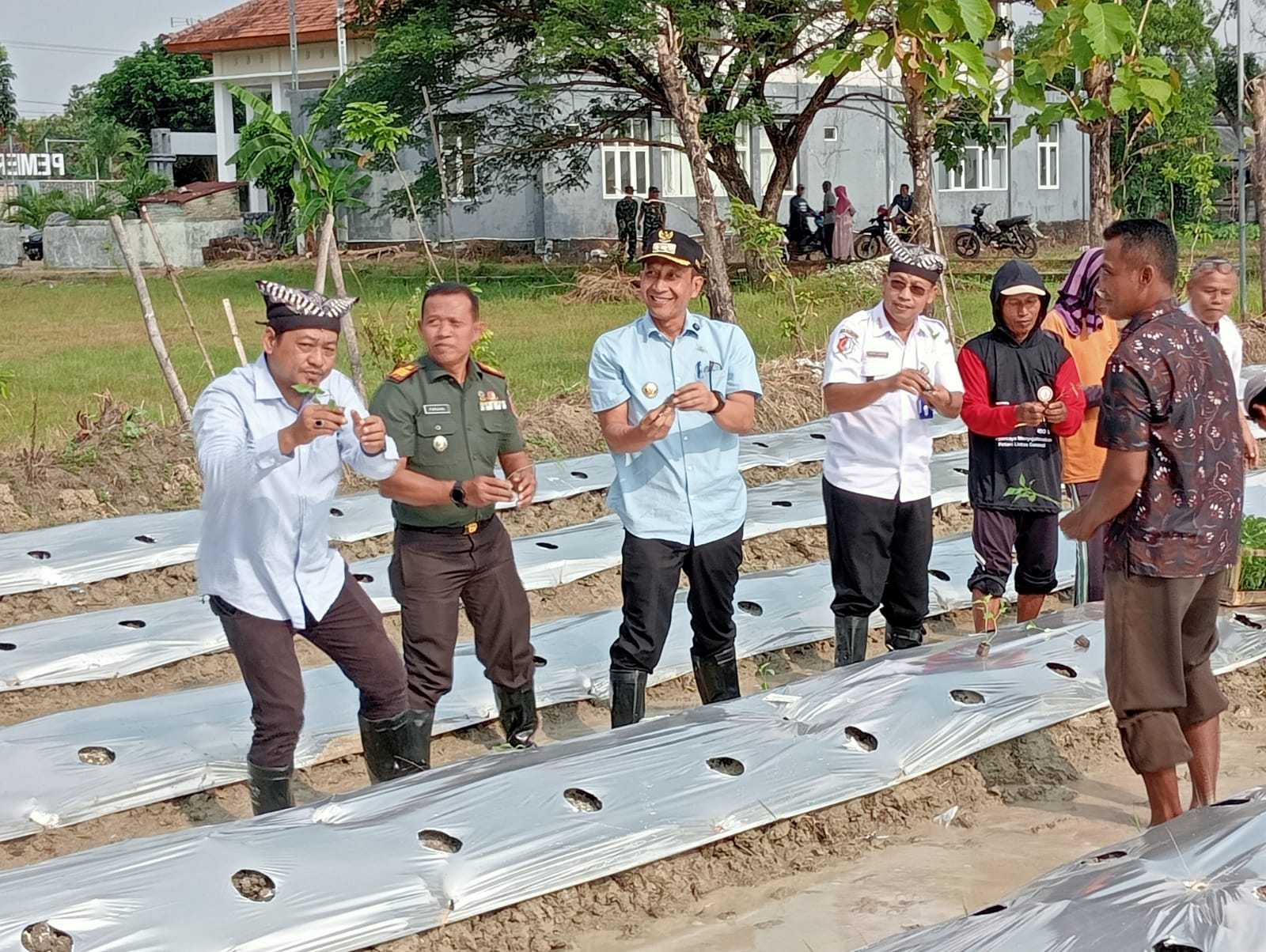 Bupati Medhayoh, Tanam Cabai Bersama Dan Kenduri Sedekah Bumi, Di Desa Ngujung, Temayang