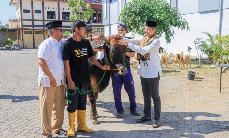 Hari Raya Idul Adha 1446 Hijriyah, Polres Bojonegoro Kurban 20 ekor Sapi dan 31 ekor Kambing, Dibagikan ke Mereka Yang Berhak Menerimanya