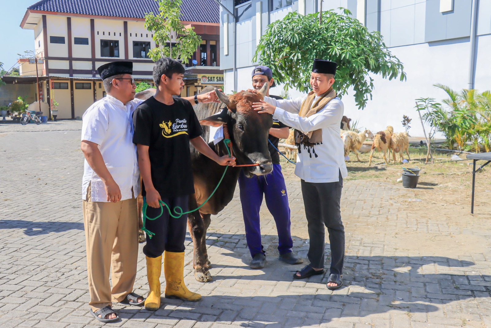 Hari Raya Idul Adha 1446 Hijriyah, Polres Bojonegoro Kurban 20 ekor Sapi dan 31 ekor Kambing, Dibagikan ke Mereka Yang Berhak Menerimanya