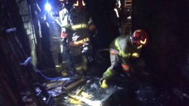 Musibah Kebakaran Menimpa Kandang Ternak di Desa Growok, Dander