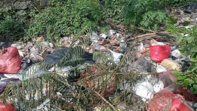 Perihal Sampah Yang Menggunung di Jalan Raya Sraturejo, Baureno, DLH Bojonegoro Bakal Berkoordinasi Untuk Penanganannya