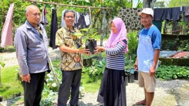 Bupati Bojonegoro Setyo Wahono: Bibit Sayur Gratis, Agar Ketahanan Pangan Tak Sekedar Angan-angan