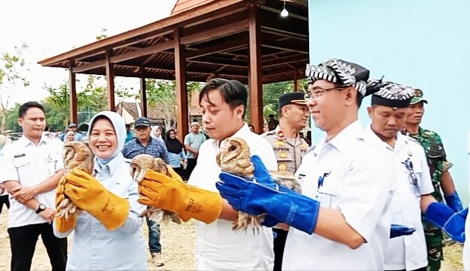 Launching Pengendalian Tikus Dengan Memanfaatkan Burung Hantu, Digelar Di Desa Nguken, Padangan