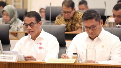Mentan Sebut Produksi Beras RI Ditargetkan Capai 33,8 Juta Ton