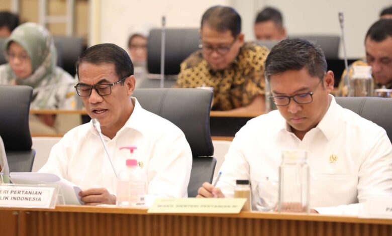 Mentan Sebut Produksi Beras RI Ditargetkan Capai 33,8 Juta Ton Mentan Sebut Produksi Beras RI Ditargetkan Capai 33,8 Juta Ton