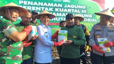 Pemkab Dan Polres Bojonegoro Bersinergi Wujudkan Ketahanan Pangan Dengan Menanam Jagung di Lahan Hutan