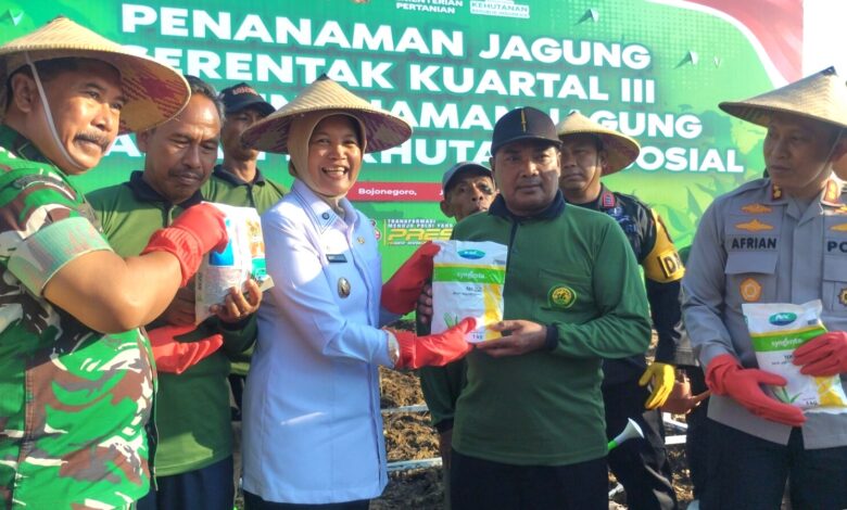 Pemkab Dan Polres Bojonegoro Bersinergi Wujudkan Ketahanan Pangan Dengan Menanam Jagung di Lahan Hutan Pemkab Dan Polres Bojonegoro Bersinergi Wujudkan Ketahanan Pangan Dengan Menanam Jagung di Lahan Hutan