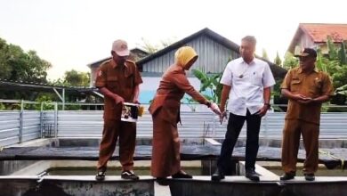 Program Ternak Lele Pemdes Sugihwaras, Kecamatan Sugihwaras, Dikunjungi Bupati-Wabup Bojonegoro