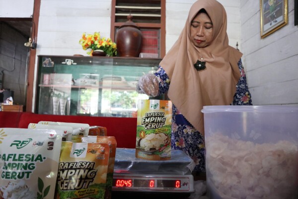 Manfaatkan Bahan Pangan Lokal, Warga Ngasem Sukses Olah Gerut Jadi Camilan Emping Gurih Manfaatkan Bahan Pangan Lokal, Warga Ngasem Sukses Olah Gerut Jadi Camilan Emping Gurih