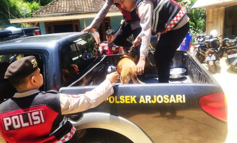 Polisi Kerahkan Anjing Pelacak K9 Lakukan Pencarian Pelaku Pembunuhan, di Kecamatan Arjosari, Pacitan Polisi Kerahkan Anjing Pelacak K9 Lakukan Pencarian Pelaku Pembunuhan, di Kecamatan Arjosari, Pacitan