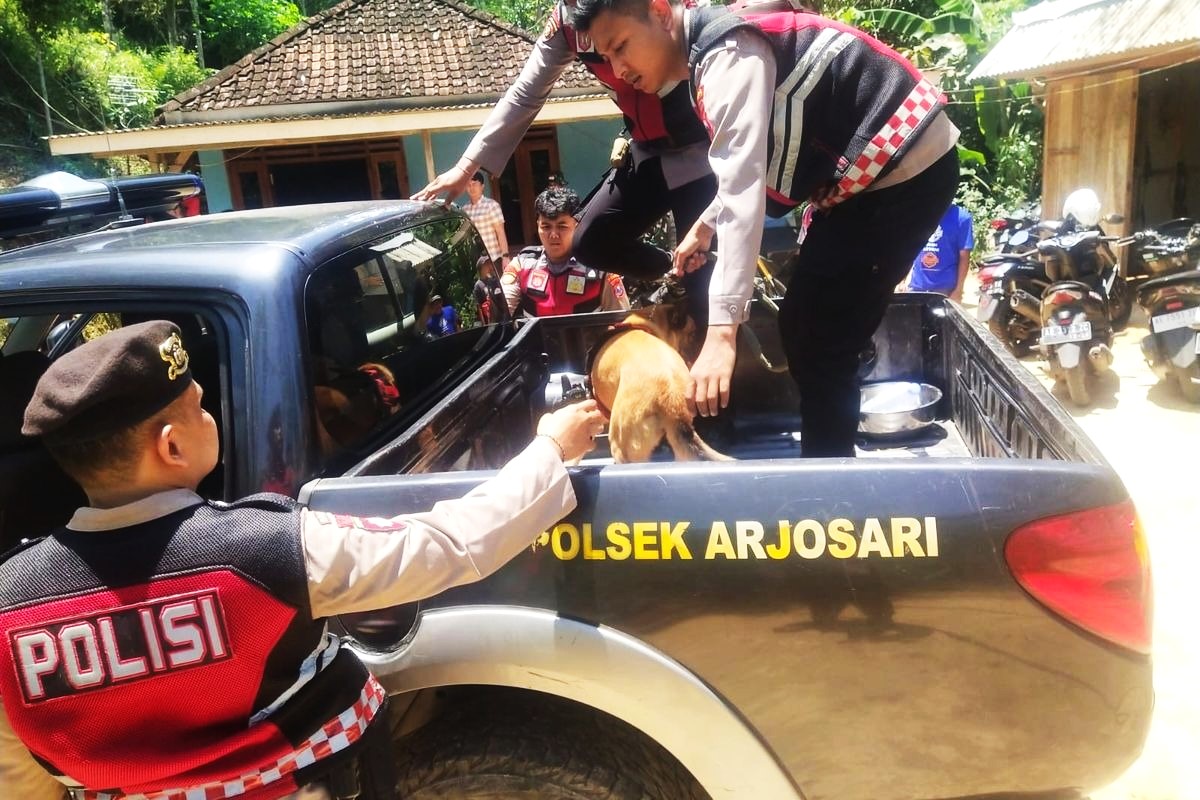 Polisi Kerahkan Anjing Pelacak K9 Lakukan Pencarian Pelaku Pembunuhan, di Kecamatan Arjosari, Pacitan