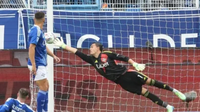 Emil Audero Catat Cleansheet Saat Hadapi Parma, Bawa Cremonese Tak Terkalahkan di Serie A Musim Ini Emil Audero Catat Cleansheet Saat Hadapi Parma, Bawa Cremonese Tak Terkalahkan di Serie A Musim Ini