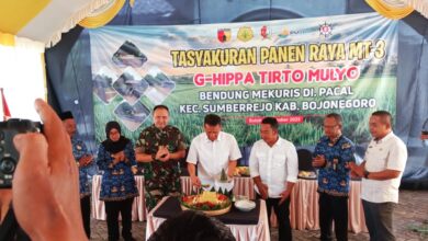 Bupati Bojonegoro Setyo Wahono Hadiri Tasyakuran Panen Raya MT-3, G-HIPPA Tirto Mulyo, Di Balai Desa Butoh, Sumberrejo