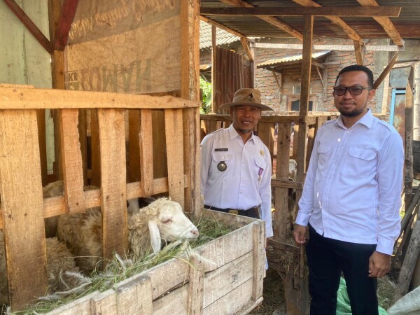 Kades Tikusan Edy Sunarto Ajak Warganya Sukseskan Ketahanan Pangan Dengan Program Ternak Domba Kades Tikusan Edy Sunarto Ajak Warganya Sukseskan Ketahanan Pangan Dengan Program Ternak Domba