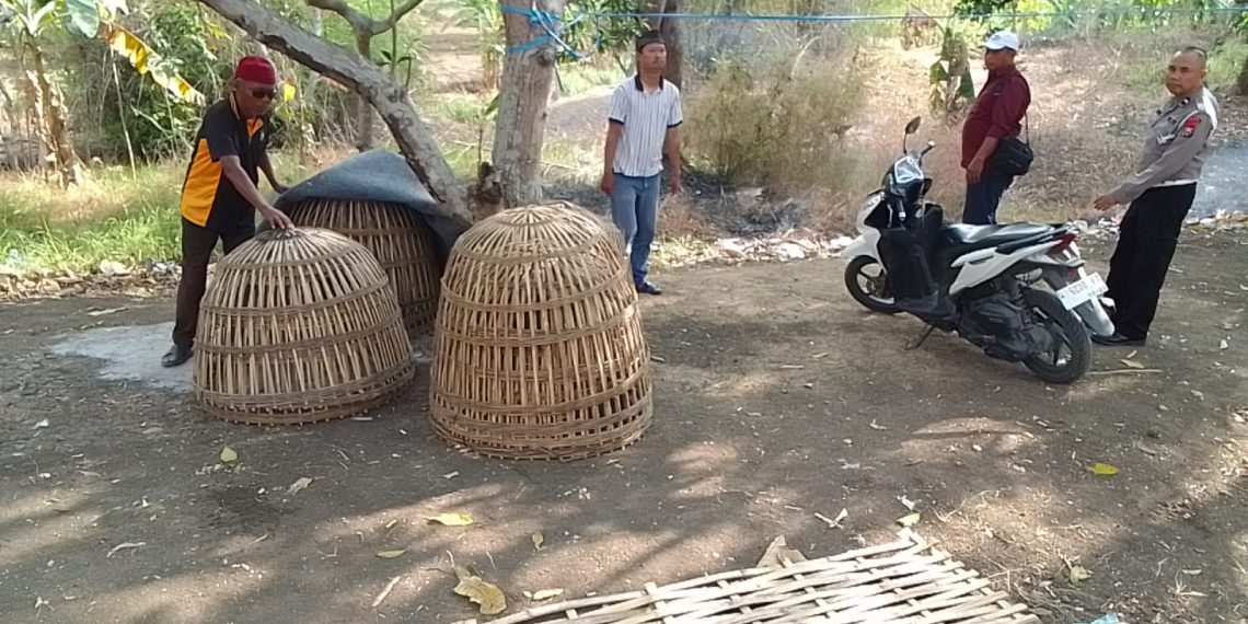 Polres Gresik Gercep Gerebek Arena Sabung Ayam di Menganti, Polisi Amankan Barang Bukti