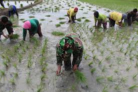 Stok Pupuk Untuk Petani Bojonegoro Aman, Jadwal Distribusi Sesuai Masa Tanam Stok Pupuk Untuk Petani Bojonegoro Aman, Jadwal Distribusi Sesuai Masa Tanam