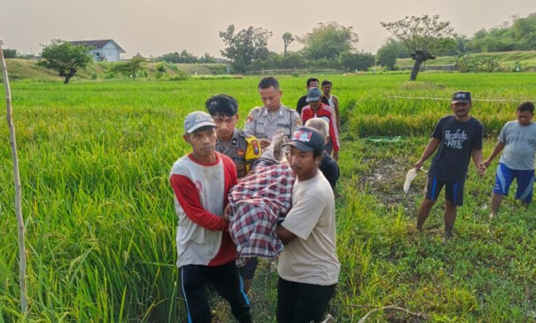 Warga Desa Blumbang, Maduran, Ditemukan Meninggal Di Area Persawahan, Diduga Akibat Tersengat Aliran Listrik Jabakan Tikus Warga Desa Blumbang, Maduran, Ditemukan Meninggal Di Area Persawahan, Diduga Akibat Tersengat Aliran Listrik Jabakan Tikus