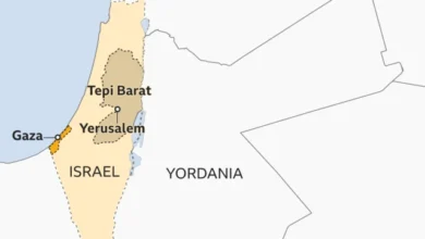 Kemenangan Telak Norwegia Atas Israel 5-0: Simbol Solidaritas untuk Palestina di Tengah Kecaman Analis Politik AS Terhadap Kebijakan Zionis