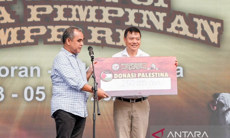 Mundur Karena 6 Bulan Tidak Gajian, Bernardo Tavares Pernah Sampai Lelang Barang Pribadi untuk Bayar Gaji Staf dan Pemain Mundur Karena 6 Bulan Tidak Gajian, Bernardo Tavares Pernah Sampai Lelang Barang Pribadi untuk Bayar Gaji Staf dan Pemain