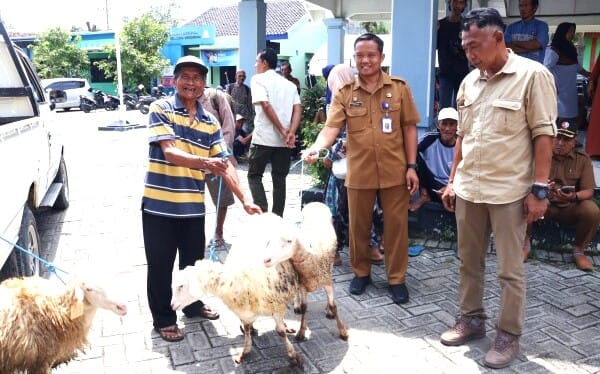 Disnakkan Bojonegoro Gelar Bimtek dan Salurkan Bantuan Domba Kesejahteraan Untuk KPM Padangan dan Ngraho