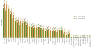 Produksi Padi Bojonegoro Naik Signifikan, Kini Berada di Posisi Ke-2, Se-Jawa Timur
