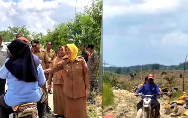 Wabup Bojonegoro Nurul Azizah, Tinjau Kesiapan Pembangunan Jalan, Di Desa Pragelan, Gondang