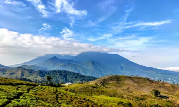 Business Partner Staff Lapangan Lebak Point Gunung Kencana