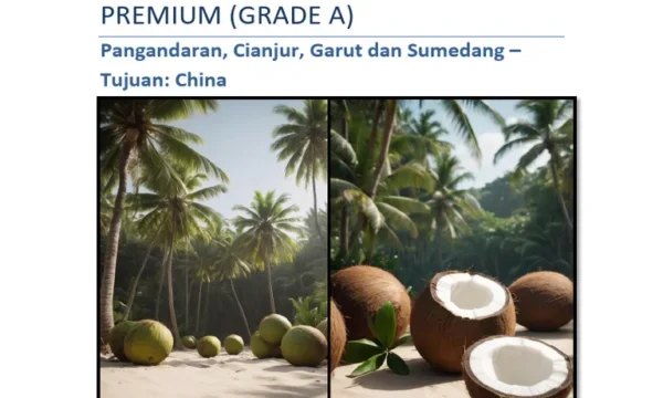 Konsultan Penjualan (Kelapa Gading)