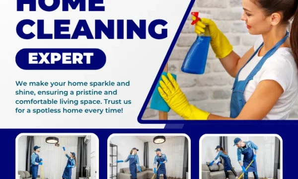 Professional Cleaning Service Specialist