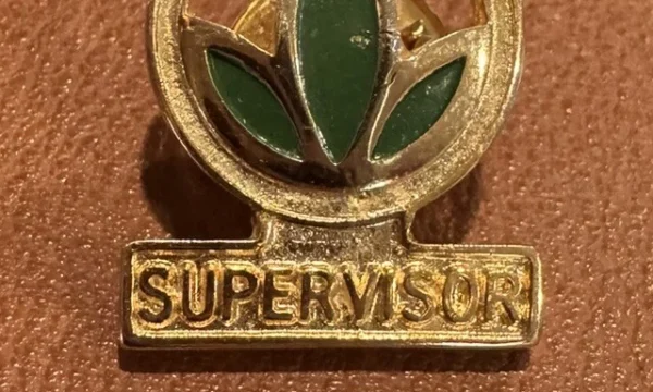 Supervisor Sales Regional