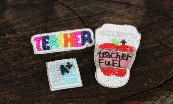 Teacher Senior Elementary Education Professional