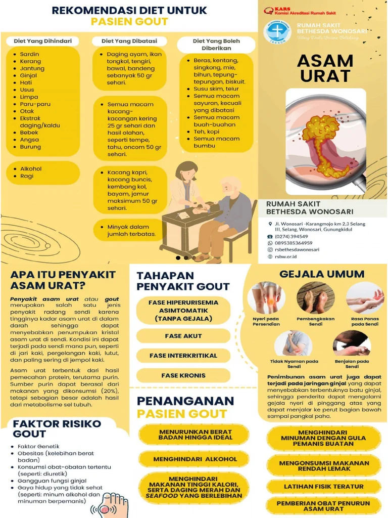 Leaflet Asam Urat PDF