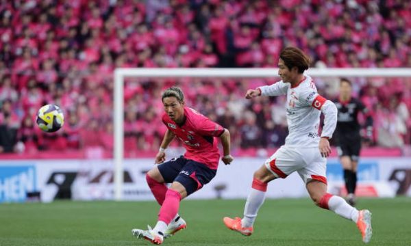 Akhirnya Terungkap! Prediksi Jitu Cerezo Osaka vs Nagoya Grampus 2026, Siapa yang Akan Unggul?