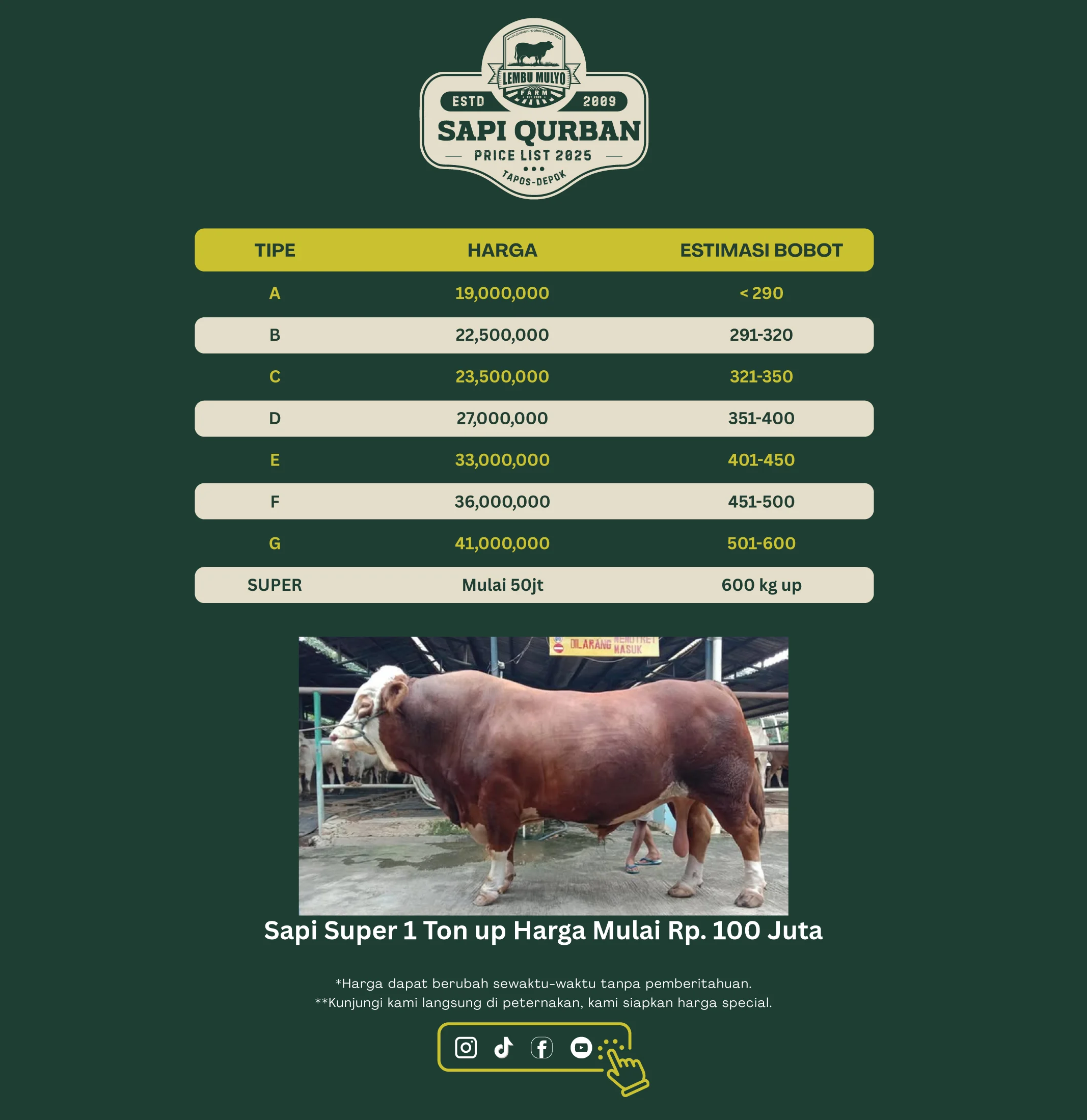 Harga Sapi Qurban 2025 Sapi Kurban Super CV Lembu Mulyo Harga Sapi Qurban 2025 Sapi Kurban Super CV Lembu Mulyo