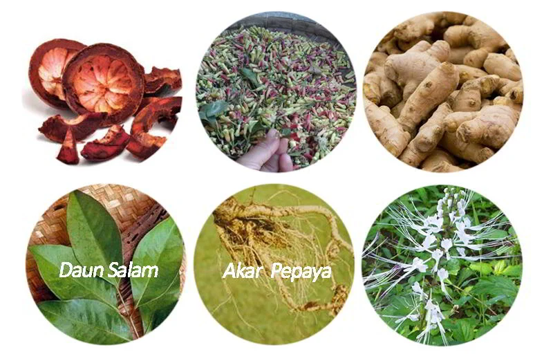 Jenis Tanaman Obat Asam Urat dan Cara Membuat Ramuannya - Berita Jenis Tanaman Obat Asam Urat dan Cara Membuat Ramuannya - Berita