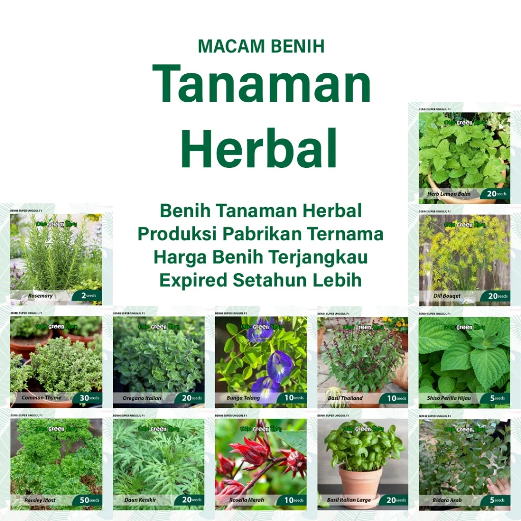 Jual BENIH SERIBUAN - Macam Macam Benih Tanaman Herbal Variasi Unggul Jual BENIH SERIBUAN - Macam Macam Benih Tanaman Herbal Variasi Unggul