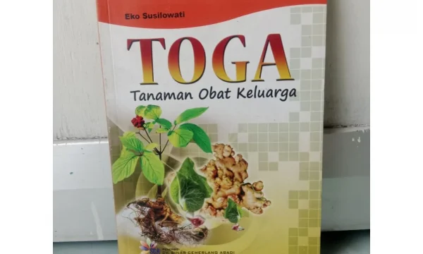 Rahasia Toga Tanaman Obat Keluarga 2026 Terungkap: Manfaat Dahsyat yang Wajib Anda Tahu Sekarang