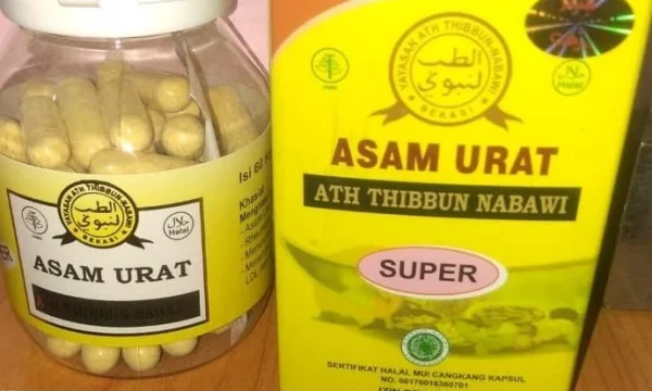 Terbongkar! APA Obat Asam Urat Paling Ampuh & Cepat Sembuh di 2026 Ini