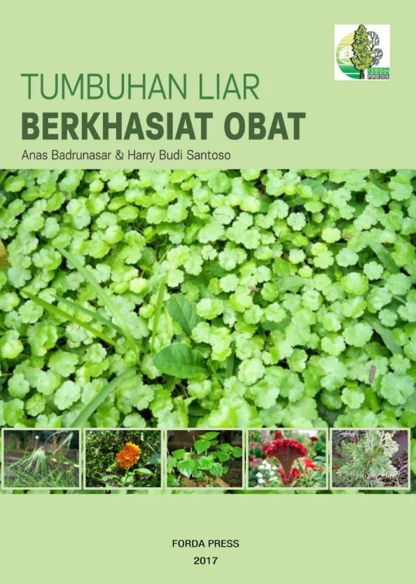 E-Book Tumbuhan Liar Berkhasiat Obat Perpustakaan BDK Makassar E-Book Tumbuhan Liar Berkhasiat Obat Perpustakaan BDK Makassar