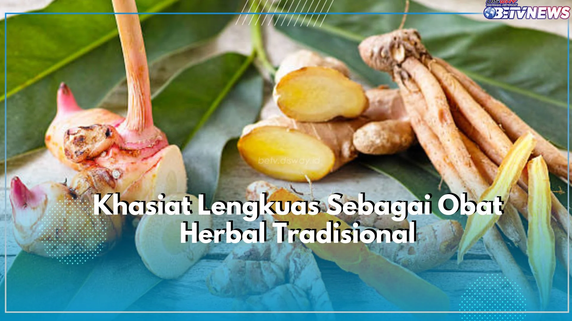 Dapat Dijadikan Obat Herbal Tradisional Inilah Khasiat yang Ditawarkan Dapat Dijadikan Obat Herbal Tradisional Inilah Khasiat yang Ditawarkan