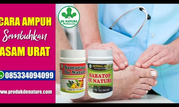 Ternyata Ini Obat Asam Urat Yang Bagus Terbaru 2026 Ampuh Atasi Nyeri Tanpa Efek Samping