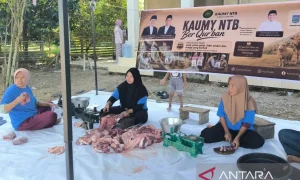daging kurban