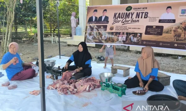 daging kurban