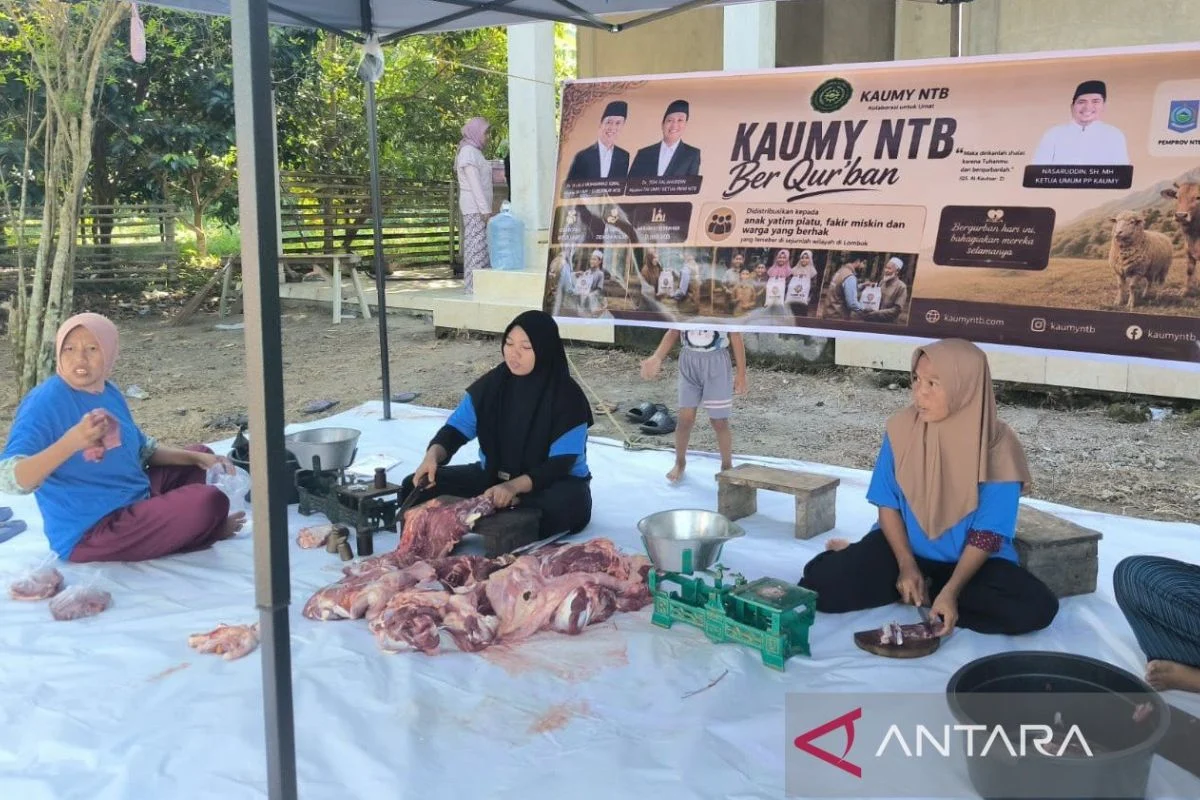 KAUMY NTB salurkan daging kurban di enam desa di Pulau Lombok - ANTARA